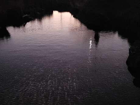 Exposition - Une Part de la Nuit