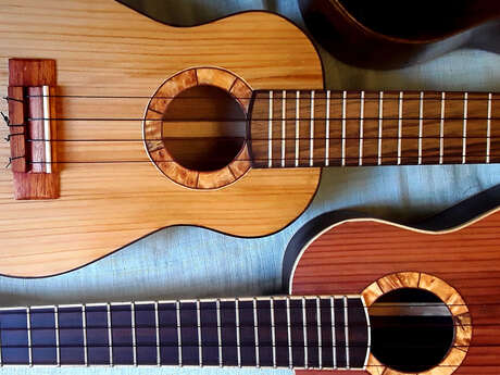 Luthier Robin Hubert