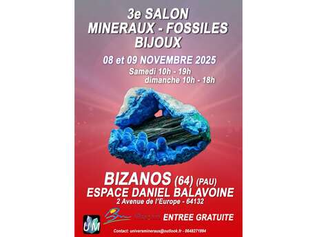 Salon minéraux, fossiles, bijoux de créateur
