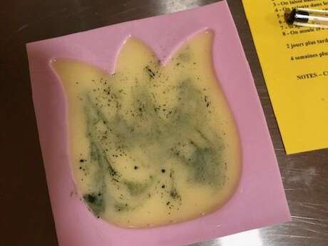 Visite et Atelier : Découvrez les plantes médicinales et fabriquez votre savon