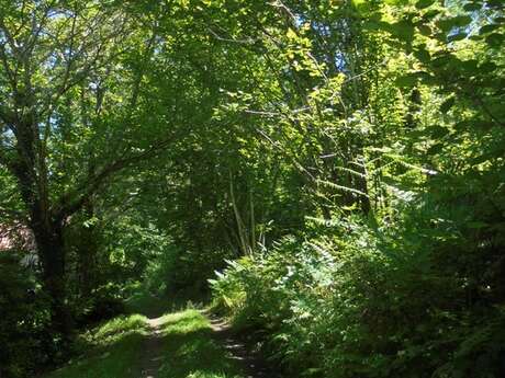Grignols : Sentier historique