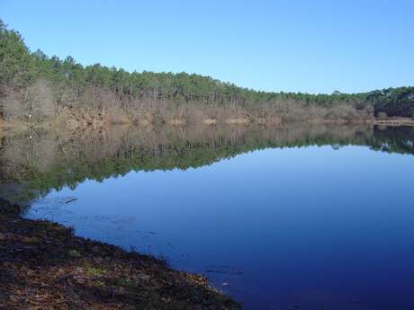 A Bias, sentier pédestre "L'Etang du Bourg Vieux"