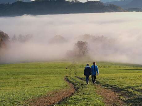 Randonnée pédestre