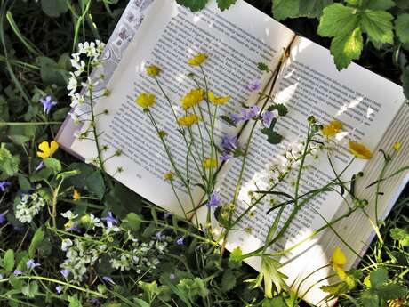 Club Lecture : Des voix aux chapitres - Landouge - Limoges