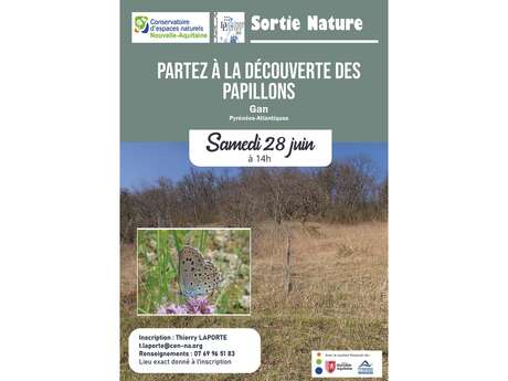 Découverte des papillons