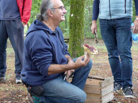 Automne en Scène : Sortie champignons