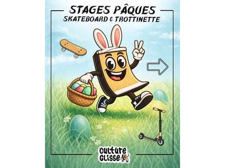 Stage skate multipark