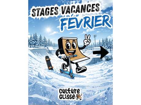 Stage skate Culture glisse