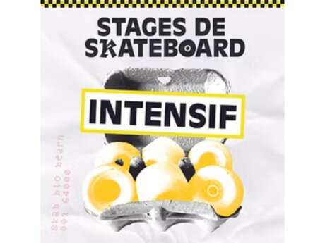 SKAB school - Stage skateboard intensif
