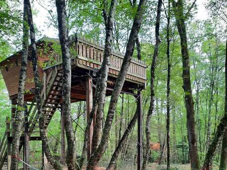 Cabane dans les arbres - L'Augis Nature