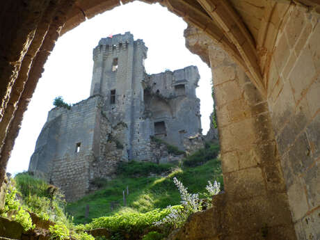 Ruins of the Château de Lavardin