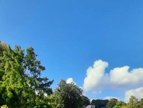 Jardin du Plessis Sasnières