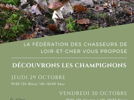 Instants Nature - Découvrons les champignons à Blois