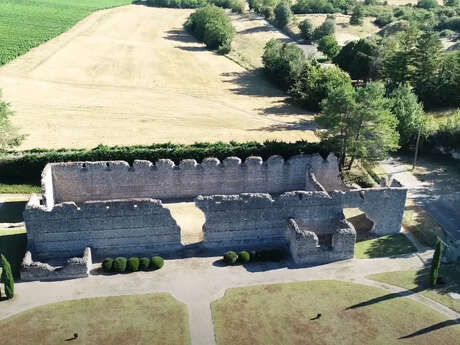 Site archéologique des Mazelles à Thésée