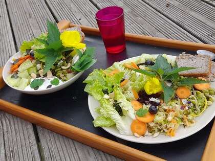 Atelier de cuisine "Découverte de l'alimentation vivante"