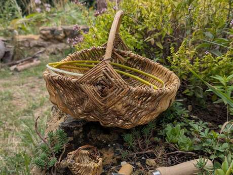 Stage de vannerie sauvage de jardin à Boursay