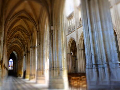 Trinity Abbey Church Tour