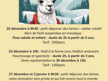 Noël chez Lama Emoi à Saint Aignan
