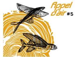 Appel d'air #5 à Montoire-sur-le Loir Appel d'air #5 à Montoire-sur-le Loir