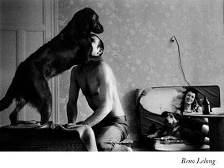 Exposition : GRAIN & GRAINES DE REGARDS à Thoré-la-Rochette