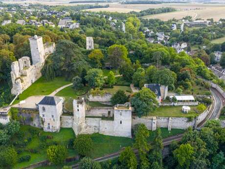 Park and ruins of the Château de Vendôme