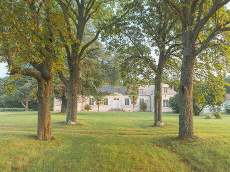 Château de thésée