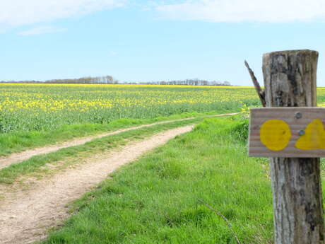 Randonnée pédestre des Hameaux à Lunay