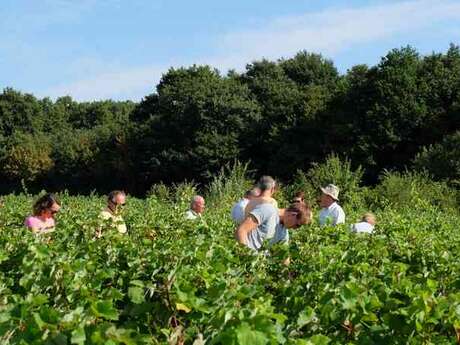 Les Échappées en Loire Coteaux du Vendomois
