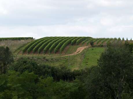 Domaine Martellière