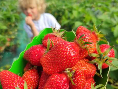 Découverte de la biodiversité et de la Ferme des trois chemins à Couëtron-au-Perche
