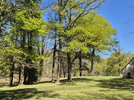 Domaine des aulnaies - touraine cottage