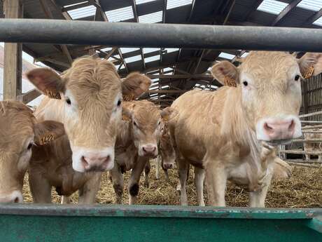 Ferme des Villettes