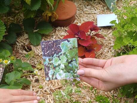 Vendôme Ville d'Art et d'Histoire -  "L’été des 6 - 10 ans" :  Découvrir le patrimoine en s’amusant à Vendôme