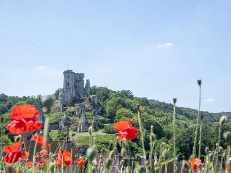 Ruines du château de Lavardin