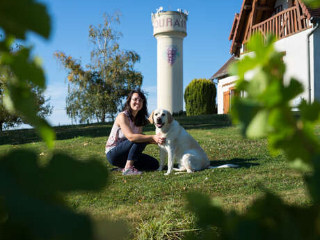 Domaine Jacky Marteau