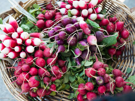 Marché hebdomadaire de Morée