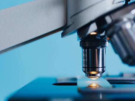 La nature au microscope à Mondoubleau