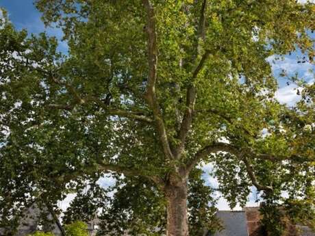 Wivisites : à la découverte de la biodiversité de Vendôme