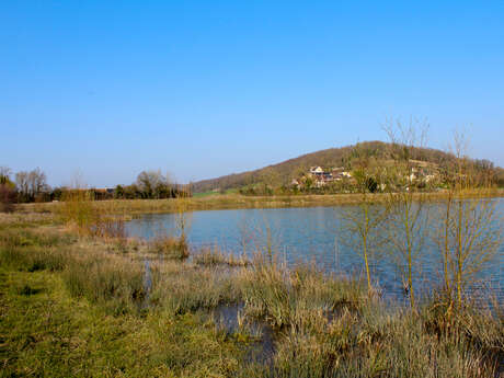 Etang communal de Sougé