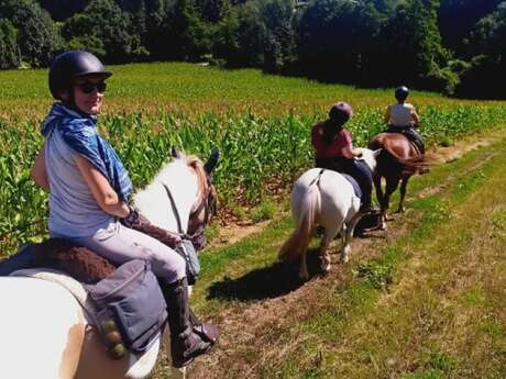 Randonnée équestre Bô dimanche aux Hayes