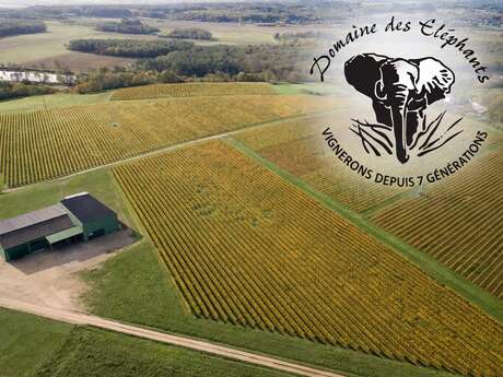 Domaine des éléphants