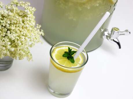 Ateliers autour du sureau à Boursay