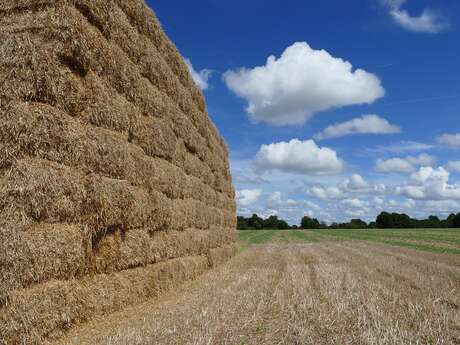 Ciné-échange  à Droué
