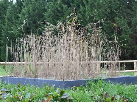 Visite d’une Phytoépuration et entretien collectif à Azé