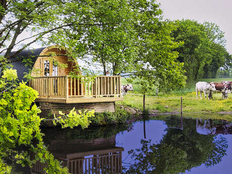 La ferme du Bois Neuf - Cabane POD