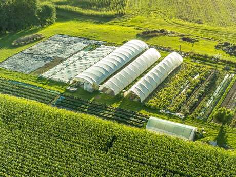 Fruits et légumes - Les Jardins d'Amérian