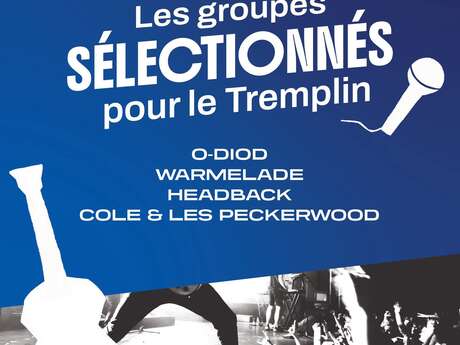 Tremplin des Tufféeries