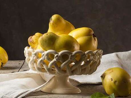 Exposition Carol Descordes