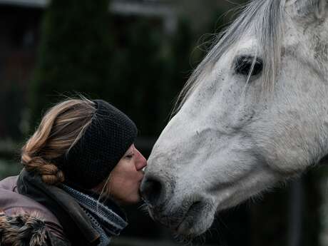 LE DOMAINE DES ÉCUYERS