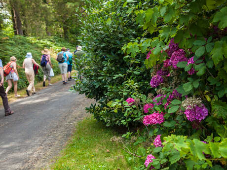 Requeil - Autour de Requeil